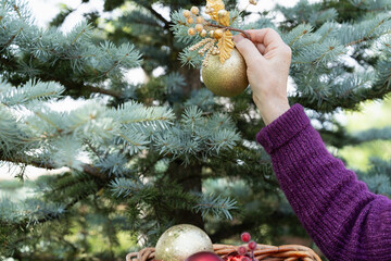 Hand decorating an outdoor Christmas tree with a golden ornament and festive baubles.