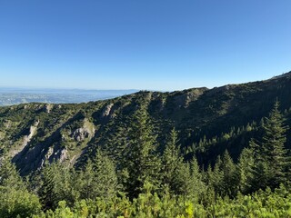 Obraz premium green mountains