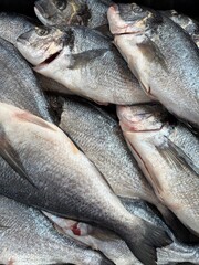 Vertical photo capturing detailed textures of freshly caught fish displayed on ice in a busy seafood market showcasing freshness and culinary appeal.