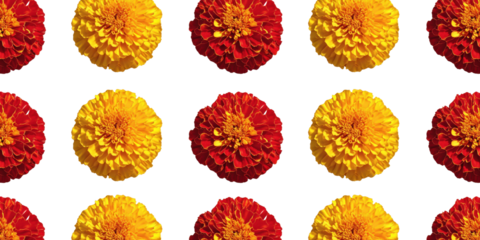 Floral Symmetry: A symmetrical array of vibrant marigold blossoms, each displaying intricate petals and vivid hues, evokes a sense of order and natural beauty.