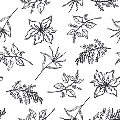Botanical floral seamless pattern. A lovely nature background with silhouettes and outlines of herbs and wildflowers. Hand-drawn plants and flowers. Vector monochrome print for spring textiles