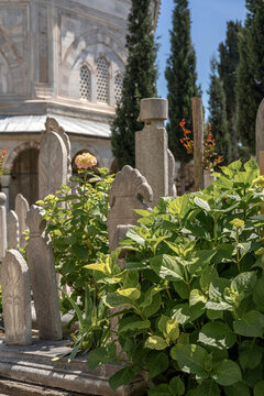The historic graveyard in the grounds of Suleymaniye mosque in Istanbul, Turkey