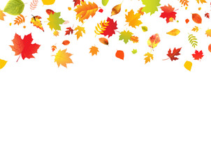 Autumn Border With Colorful Leaves