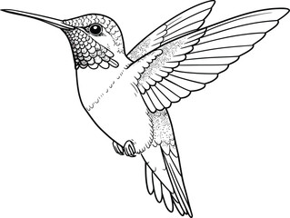 Detailed line art of a hummingbird in flight, wings spread, facing left.