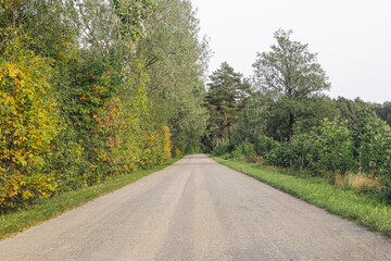 Countryside asphalt road in autumn season. Scenic empty lane surrounded by green and yellow trees. Peaceful rural landscape. Travel, journey, nature background. Outdoor countryside scene.