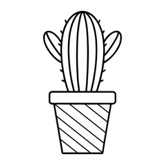 cactus in a pot