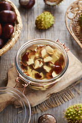 Preparation of herbal tincture from fresh horse chestnuts in autumn