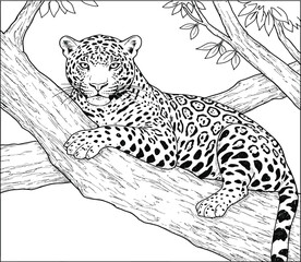 Black and white illustration of a jaguar resting on a tree branch, looking directly at the viewer.