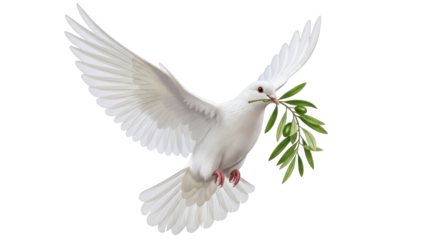Isolated dove carrying olive branch is an international symbol of peace and new beginnings
