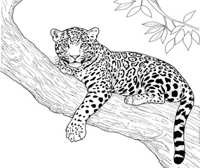Jaguar resting on a tree branch, detailed line art.