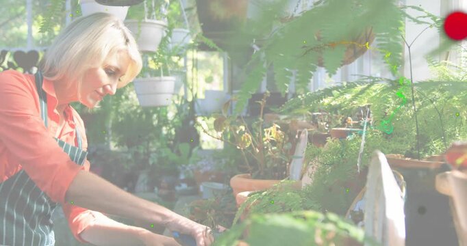 Greenhouse gardener grabbing blue shears and trimming wilted fern fronds to boost plant health