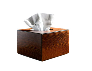 Minimalist Tissue Box with Single White Tissue