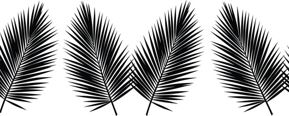 Palm leaf silhouette, botanical vector, tropical plant, black leaves, nature design, foliage art, minimal illustration, exotic greenery, leaf icon, decor element