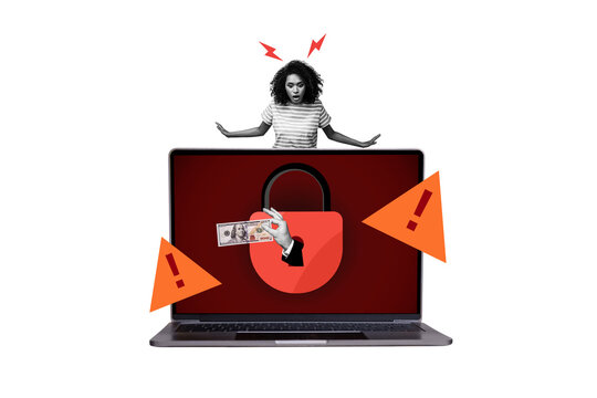 Composite photo collage of astonished american girl macbook problem lock antivirus hand hold bribe money isolated on painted background