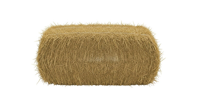 Isolated rectangular bale of hay ready for animals to eat with no background present