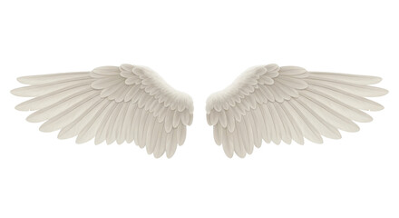 Isolated pair of angel wings, realistic plumage, heavenly concept, spiritual illustration