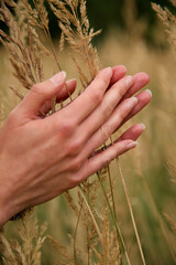 woman hands grab some dry grass prickles