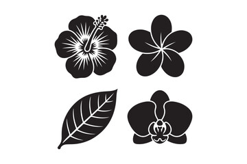 Black silhouette tropical flowers and leaf collection