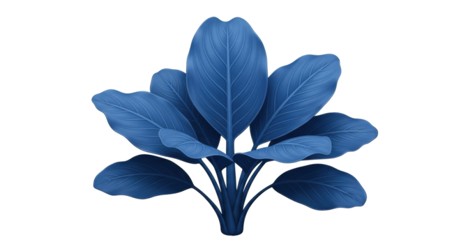 Isolated Blue Plant Illustration with Veins, Tropical Exotic Foliage, Nature Motif