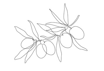 Olive branch. Modern single line art drawing. Continuous line drawing. Outline draw design vector illustration