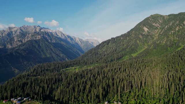 Majestic Aerial View of Arang Kel, Azad Kashmir &mdash; Vast Pine Forest Stretching Across Mountain Slopes Beneath Rugged Peaks and Blue Sky in the Heart of the Himalayas