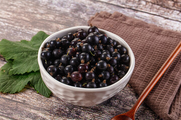 Sweet juicy Black currants berries