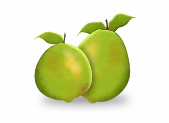 Guava vactor image, Guava  image with white background vactor illustration.