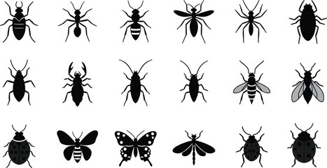 Collection of insect silhouettes including beetles, ants, flies, bees, butterflies, dragonfly and bugs, isolated black vector icons for biology and nature design