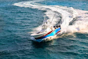 Racing the Waves: Power and Speed on the Open Ocean