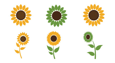 A collection of colorful sunflowers in varying styles and arrangements