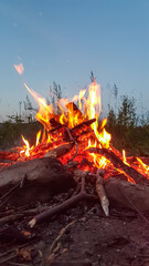 From a low angle, bright orange flames and glowing red embers of a campfire crackle and sparkle against the deep blue sky of nightfall. This captures the raw energy and warmth of fire in the outdoors.