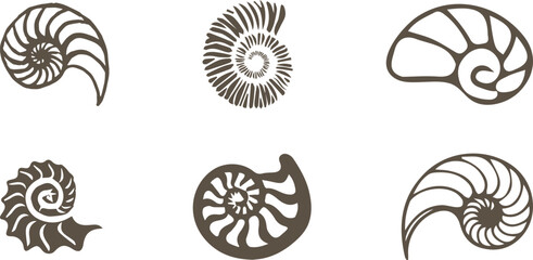 Clean vector illustrations of stylized Ammonite shells. This collection of six unique designs captures the beautiful spiraling geometry and natural elegance of the ancient fossil, perfect for a wide r © Rahidul