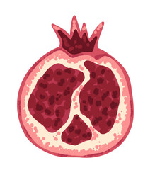 Half of pomegranate fruit with seeds in hand drawn flat style