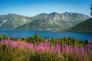 Fototapety na wymiar - Fototapeta24.pl