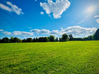 Breathtaking Natural Beauty and Greenery at Summerfield Park, Birmingham, United Kingdom