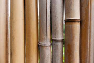 bamboo wall background