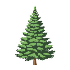 Illustration of a green fir tree with a brown trunk on a white background.