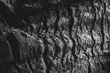 wood, dark texture, gloomy texture, abstraction, cracks in wood