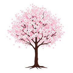 Naklejka premium Beautiful cherry blossom tree with delicate pink flowers and brown trunk against a white background, symbolizing spring.