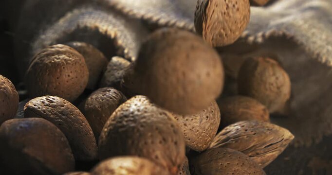 Slow Motion of Macro Falling Almonds In Shell On Rustic Burlap Fabric, Natural Nuts Harvest Concept With Organic Raw Food Texture at 1000 fps