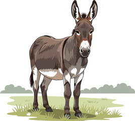 Cartoon donkey, farm animal, mammal