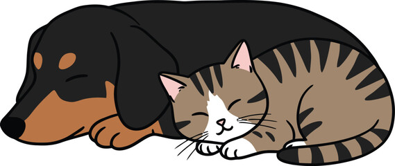 Adorable dachshund dog sleeps peacefully next to a tabby cat companionship flat design vector illustration white background