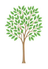 Obraz premium Watercolor Tree Clipart, Green Trees Illustration, Nature Botanical