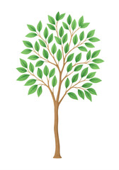 Obraz premium Watercolor Tree Clipart, Green Trees Illustration, Nature Botanical