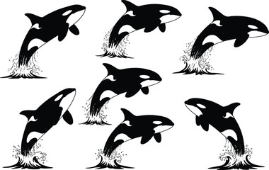 Orca silhouettes, killer whale, marine animals, ocean wildlife, leaping motion, aquatic mammals, sea creatures, nature illustration set