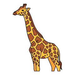 Illustration of a giraffe with brown spots and a long neck standing on a white background.
