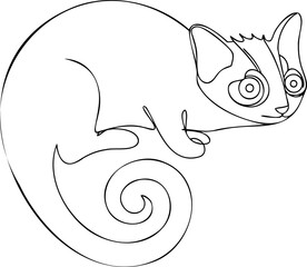 Continous line drawing continuous line drawing a chameleon with a curled tail reptile