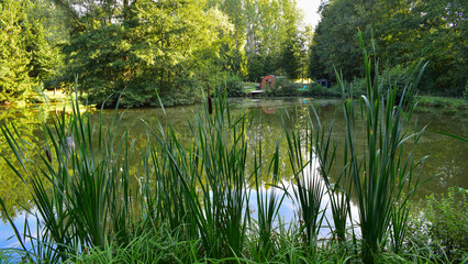 Fototapete bei efototapeten.de bestellen   