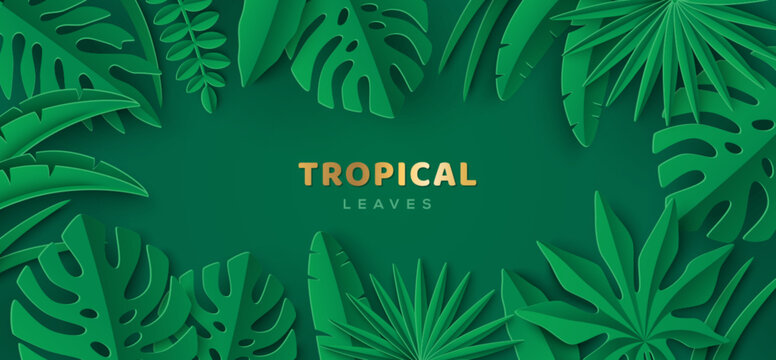 Tropical Leaves Frame Banner. Spring Summer Sale Poster. Green Jungle Border, Hawaiian vacation flyer. Vector illustration. Palm paper cut ecology design. Goa plant garden. Brazil tropic leaf backdrop