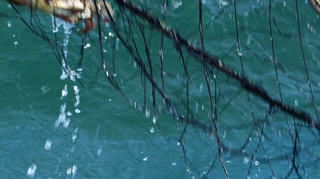 Korean Blue Crab Fishing Net West Sea (한국 서해 꽃게잡이 그물)-002